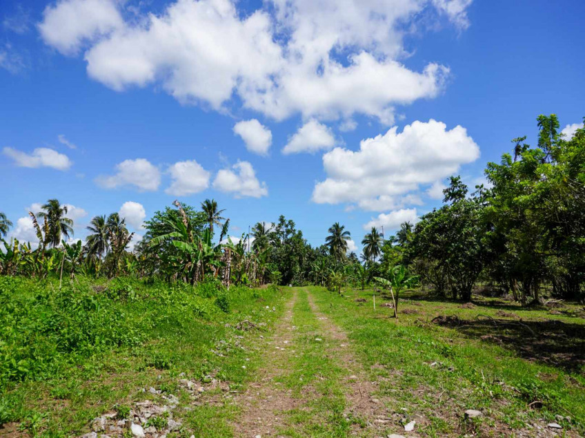 Small Farm Lot For Sale In Indang, Cavite