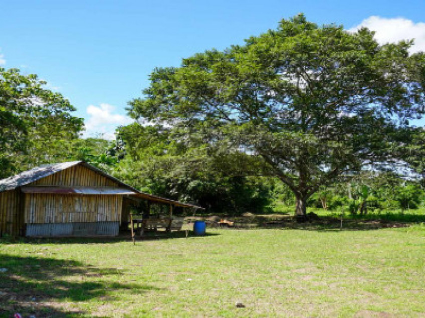 Small Farm Lot For Sale In Indang, Cavite