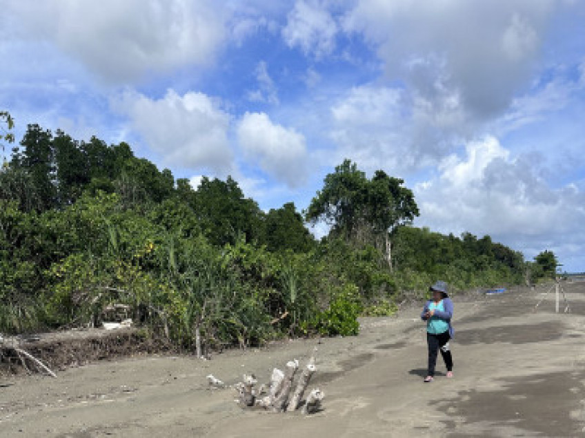 Beach Lot For Sale 12.7 Hectares Titled 233 Meters Beach Frontage In Narra Palawan