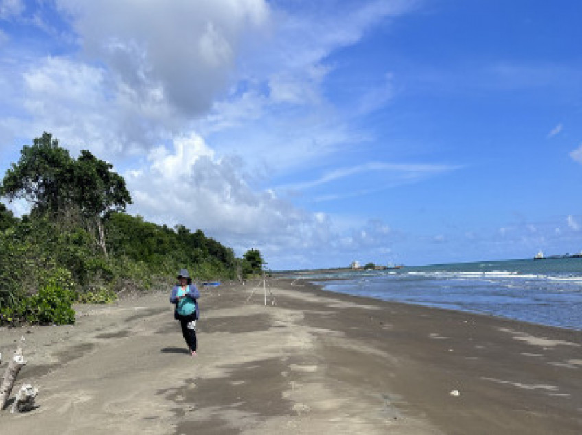 Beach Lot For Sale 12.7 Hectares Titled 233 Meters Beach Frontage In Narra Palawan