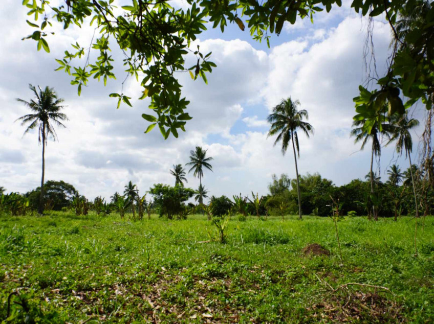 300 SQM Residential Farm For Sale In Indang Cavite