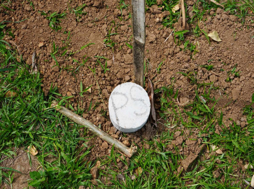 300 SQM Residential Farm For Sale In Indang Cavite