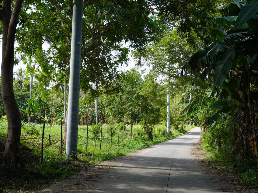 300 SQM Residential Farm For Sale In Indang Cavite
