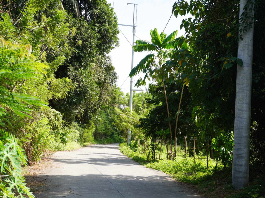 300 SQM Residential Farm For Sale In Indang Cavite