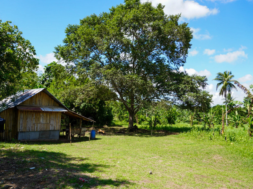 300 SQM Residential Farm For Sale In Indang Cavite