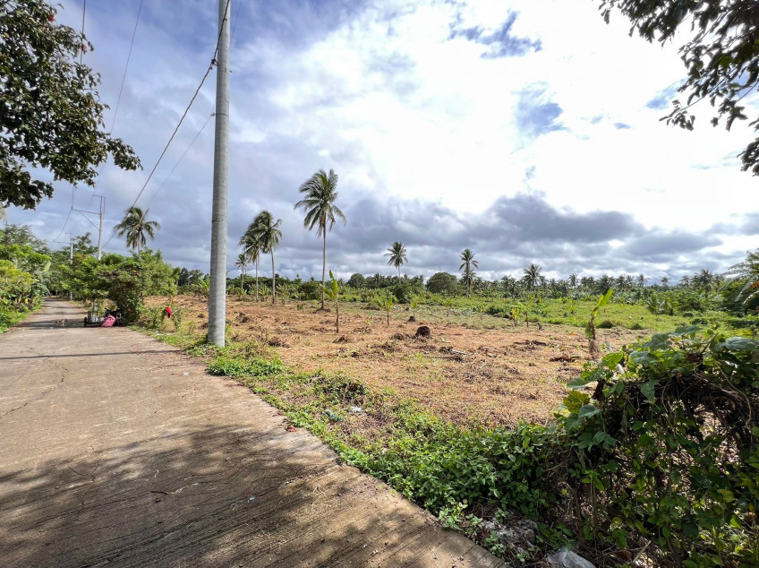 Small Cut, Farm Lot In Indang Cavite