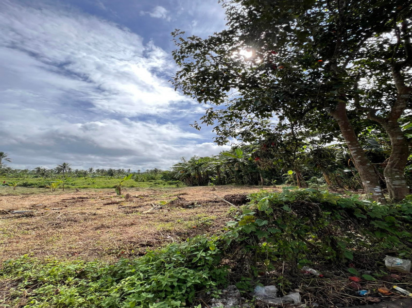 Small Cut, Farm Lot In Indang Cavite