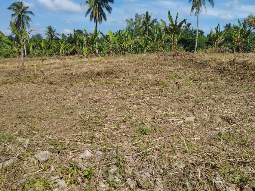 Small Cut, Farm Lot In Indang Cavite