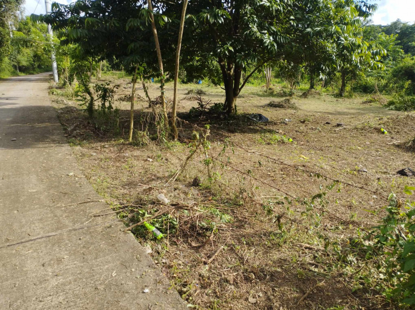 Small Cut, Farm Lot In Indang Cavite