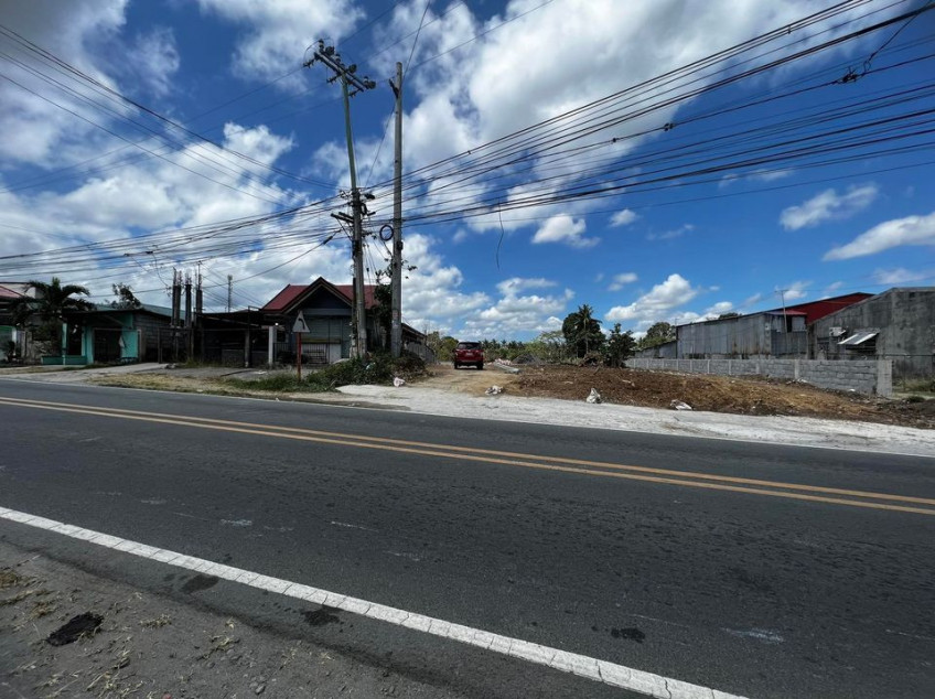 Small Cut Lot For Sale In Indang, Cavite