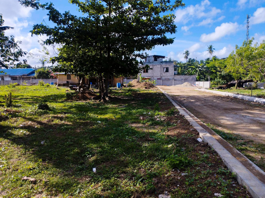 Small Cut Lot For Sale In Indang, Cavite