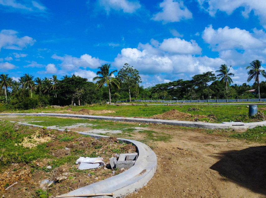 Small Cut Lot For Sale In Indang, Cavite