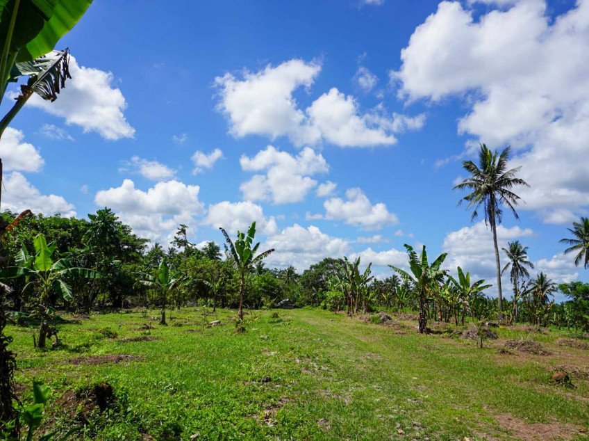 Residential Farm Lots In Indang, Cavite