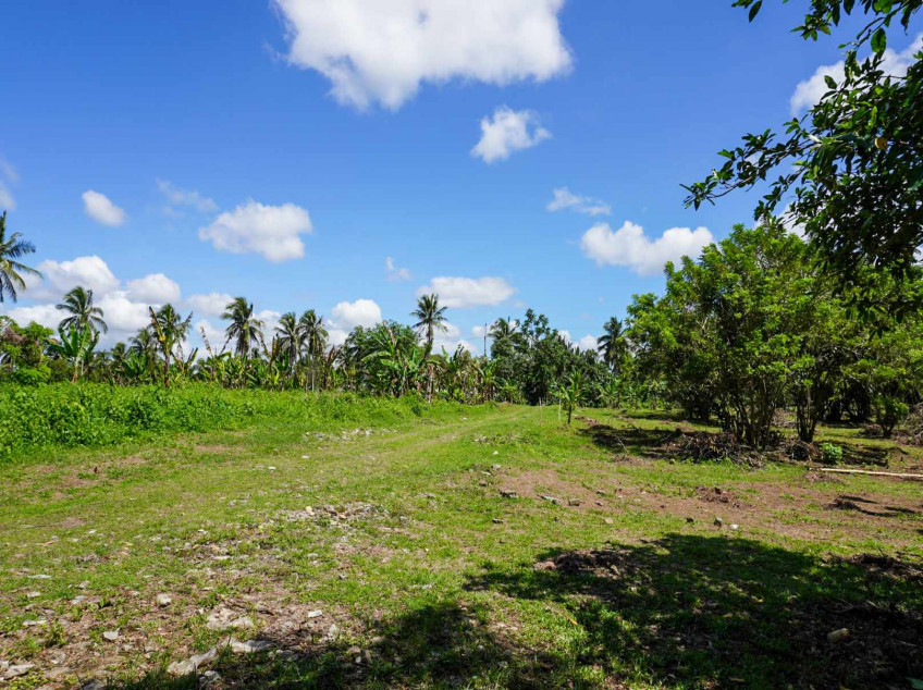 Residential Farm Lots In Indang, Cavite