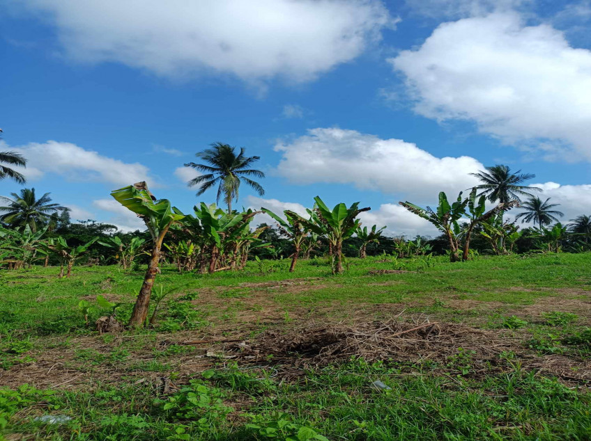 Residential Farm Lots In Indang, Cavite