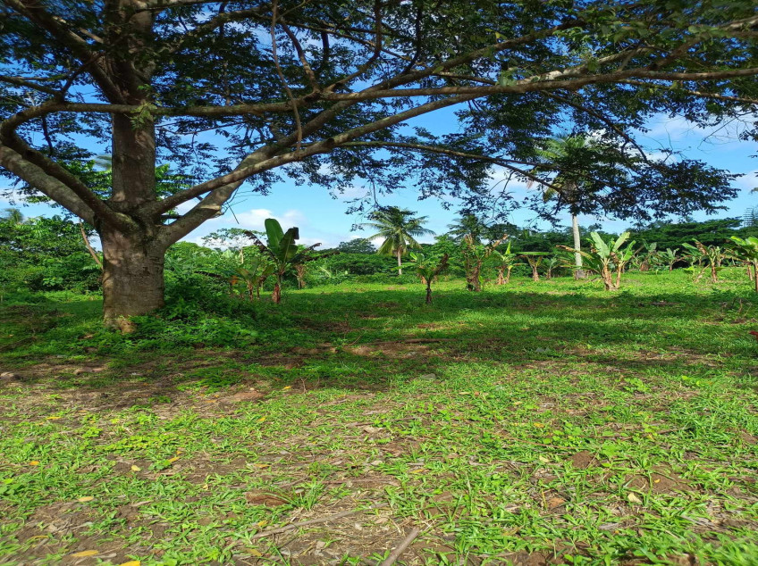 Residential Farm Lots In Indang, Cavite