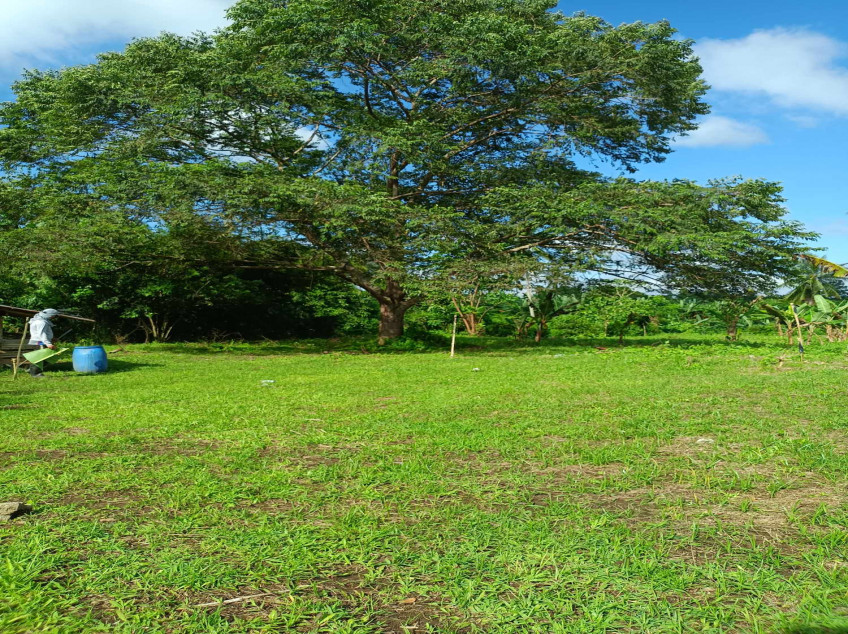 Residential Farm Lots In Indang, Cavite