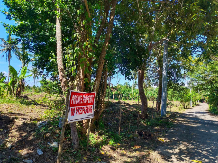 Residential Farm Lots In Indang, Cavite