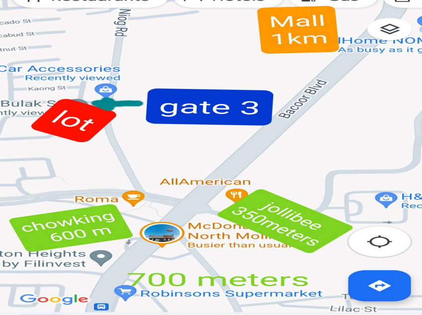Rush Sale!  Rare Huge Lot Near Gate 2 Meadowood Exec Vill Bacoor, Cavite
