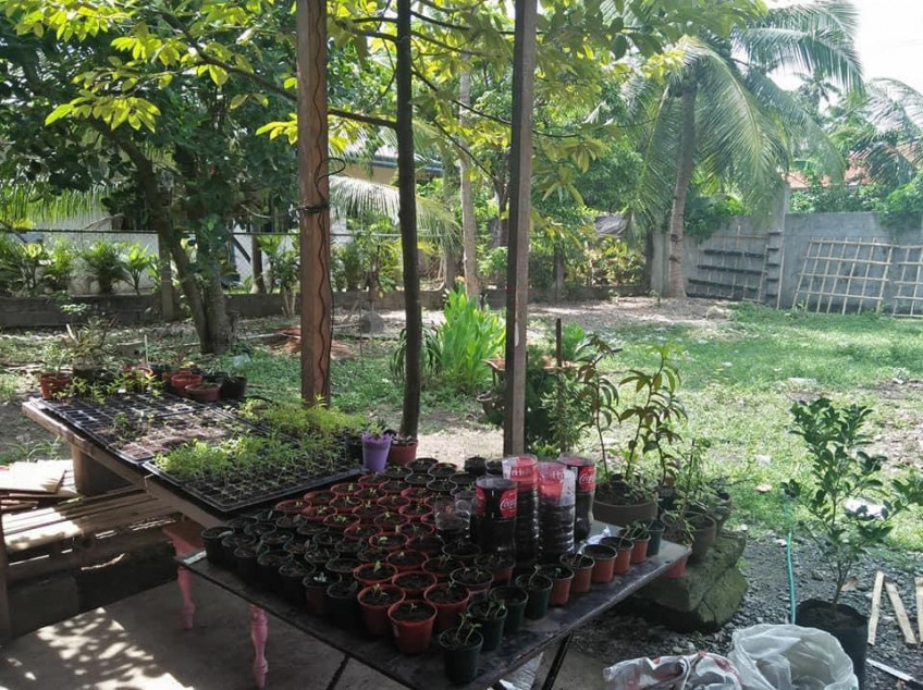 307 SQM Lot For Sale Located In Brgy. New Pandan Panabo City, Davao Del Norte