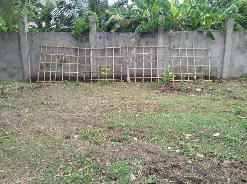 307 SQM Lot For Sale Located In Brgy. New Pandan Panabo City, Davao Del Norte