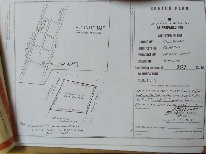 307 SQM Lot For Sale Located In Brgy. New Pandan Panabo City, Davao Del Norte