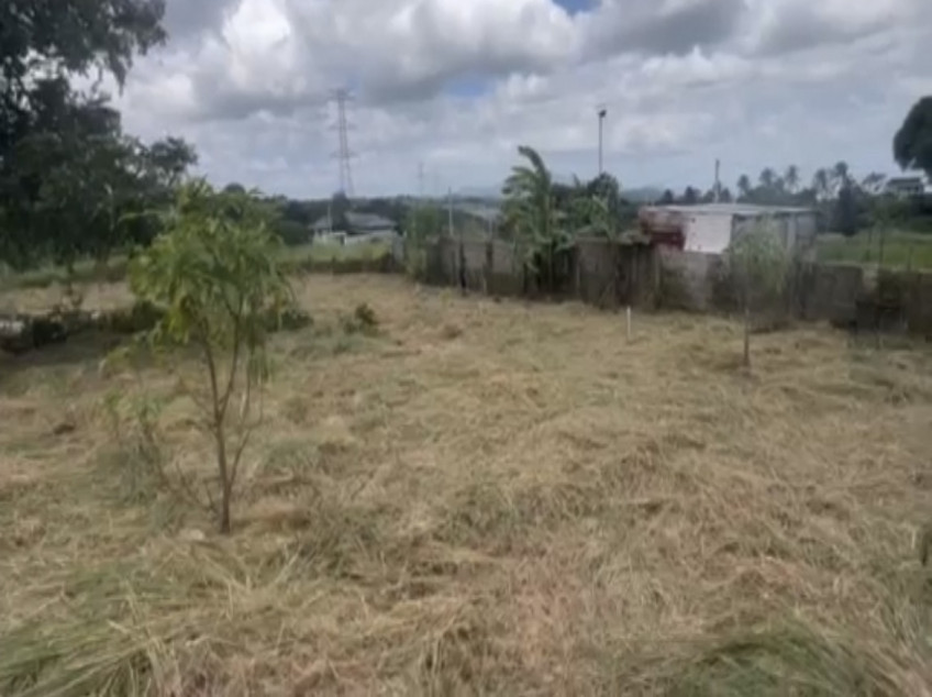 Farm Lot For Sale In Tanay, Rizal