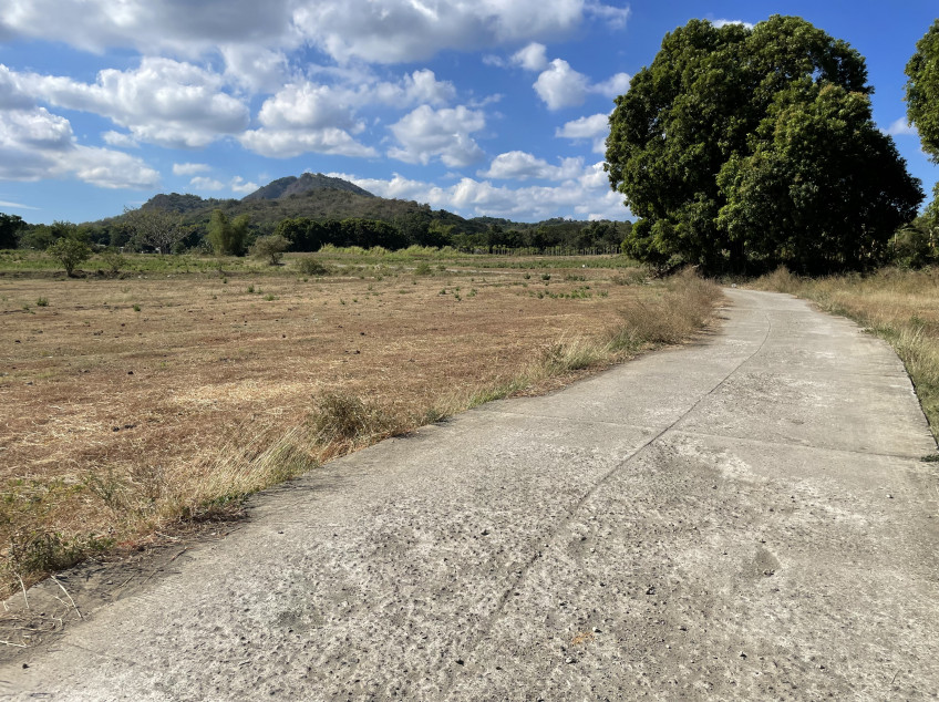 15 Hectare Land For Sale In Lian, Batangas