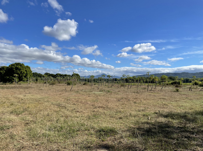 15 Hectare Land For Sale In Lian, Batangas