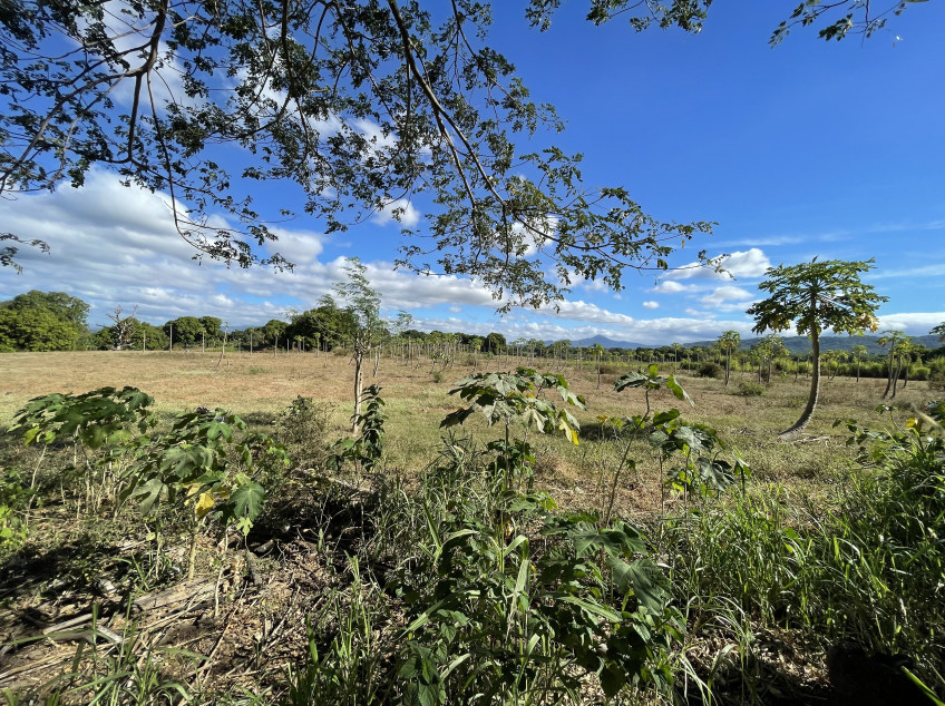 15 Hectare Land For Sale In Lian, Batangas