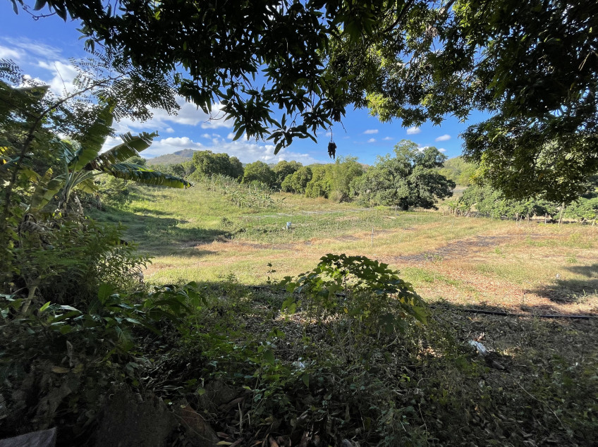 15 Hectare Land For Sale In Lian, Batangas