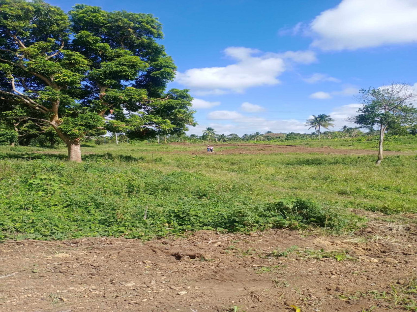 Residential-Subdivided Farm Lot For Sale In Alfonso, Cavite