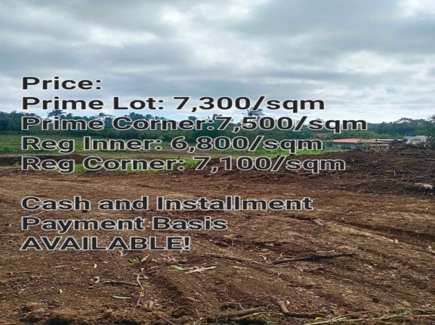 Residential-Subdivided Farm Lot For Sale In Alfonso, Cavite