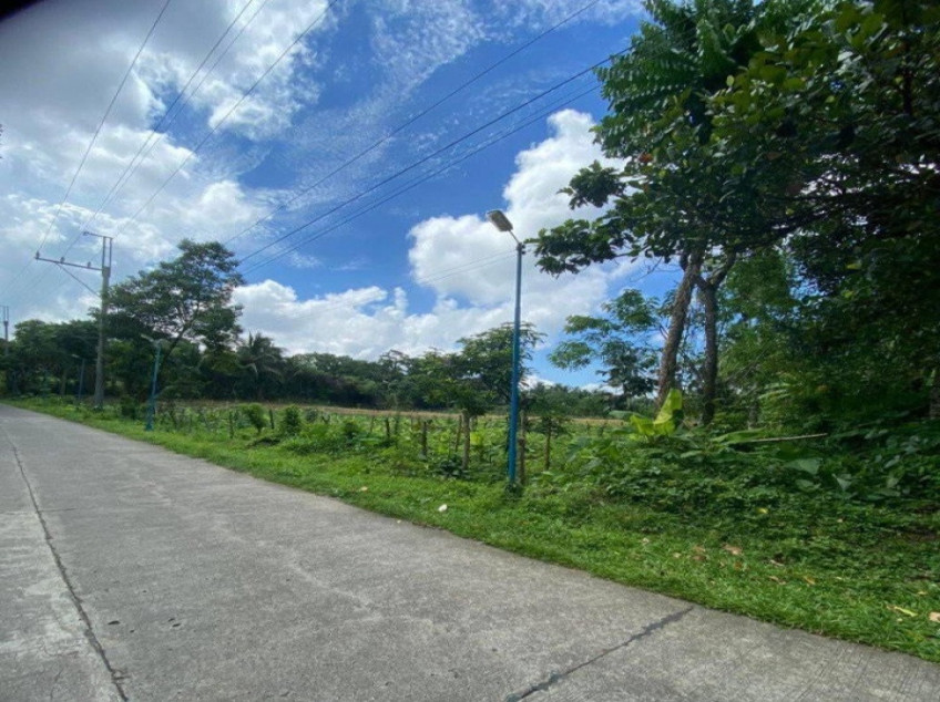 Residential-Subdivided Farm Lot For Sale In Alfonso, Cavite