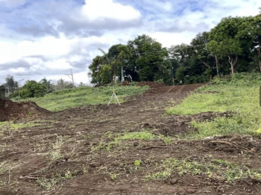 Residential-Subdivided Farm Lot For Sale In Alfonso, Cavite