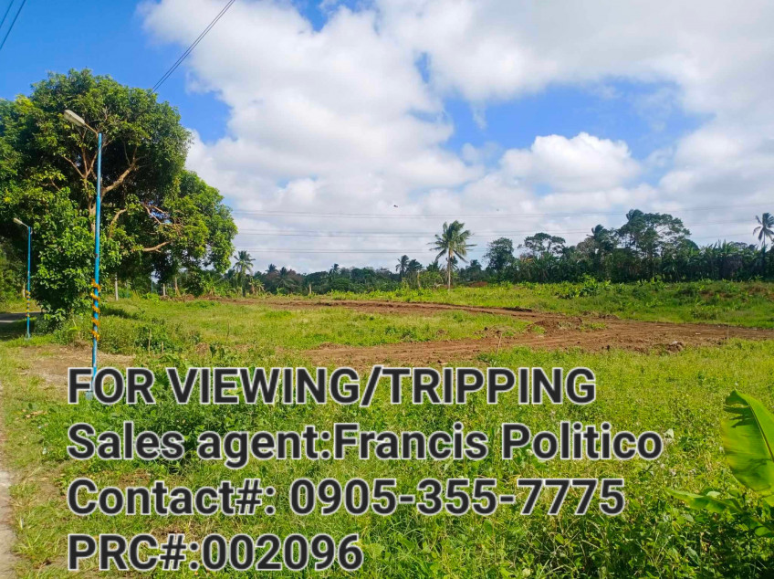 Residential-Subdivided Farm Lot For Sale In Alfonso, Cavite