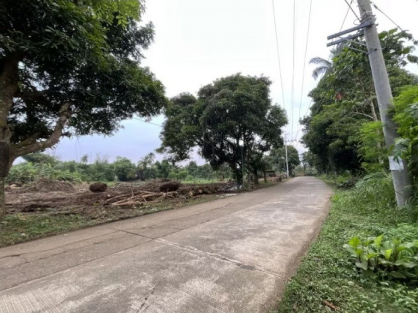 Residential-Subdivided Farm Lot For Sale In Alfonso, Cavite