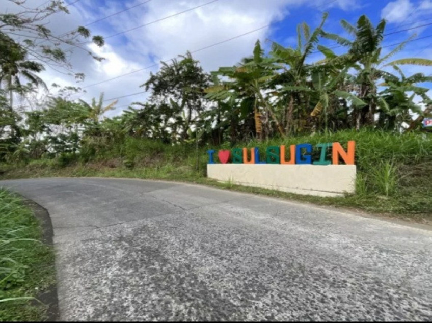 Residential-Subdivided Farm Lot For Sale In Alfonso, Cavite