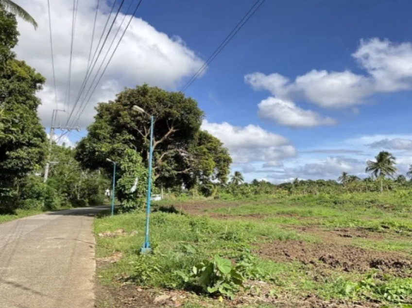 Residential-Subdivided Farm Lot For Sale In Alfonso, Cavite