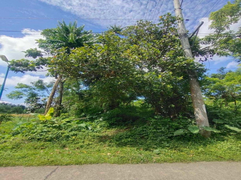 Residential-Subdivided Farm Lot For Sale In Alfonso, Cavite