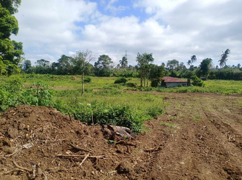 Residential-Subdivided Farm Lot For Sale In Alfonso, Cavite