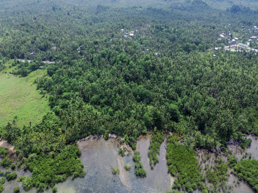 Siargao Land For Sale