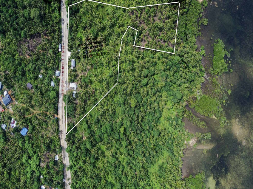 Siargao Land For Sale