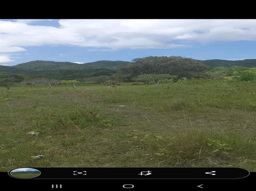 Farm In Dimiao Bohol