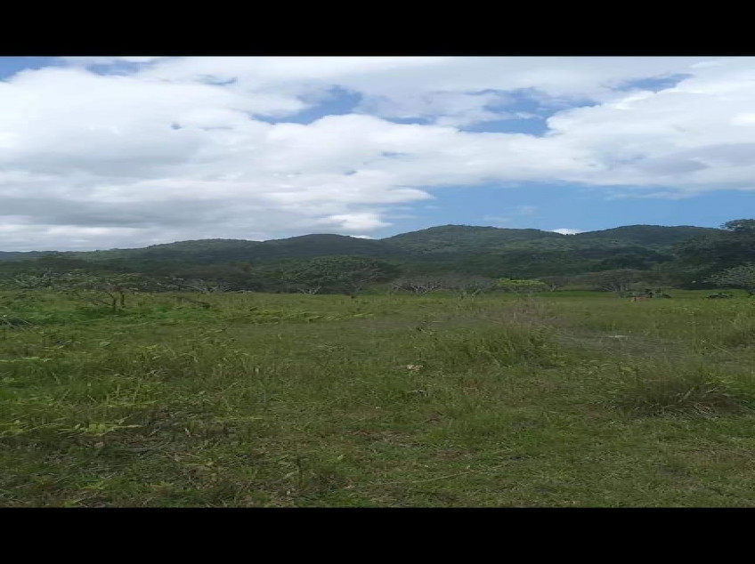 Farm In Dimiao Bohol