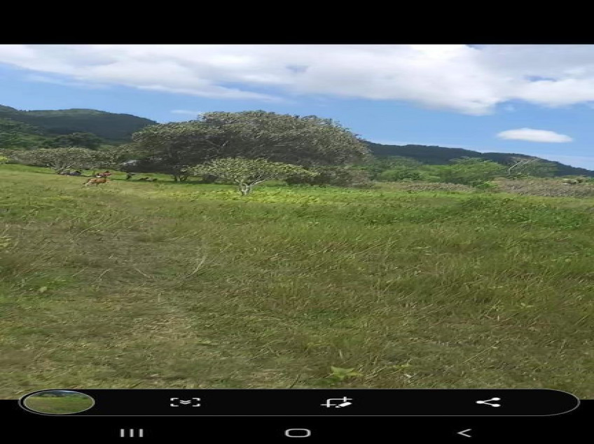 Farm In Dimiao Bohol