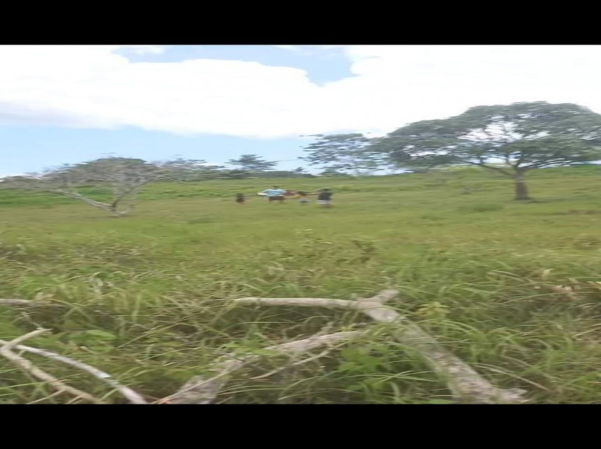 Farm In Dimiao Bohol