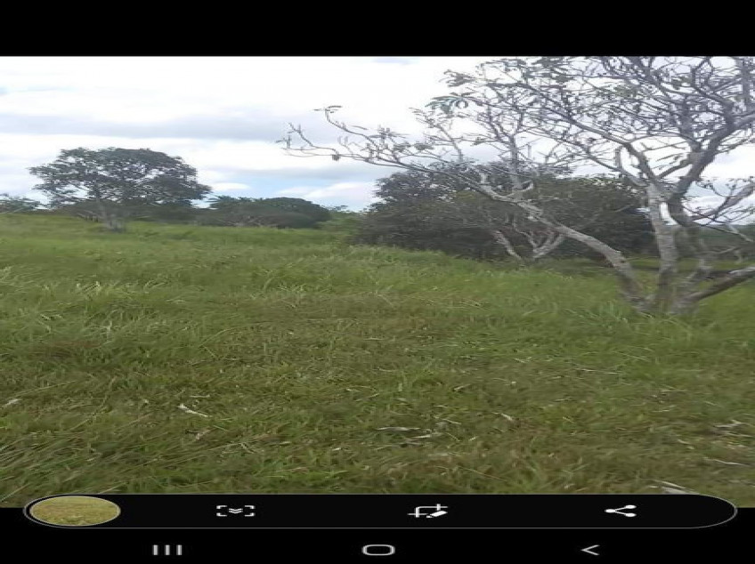 Farm In Dimiao Bohol