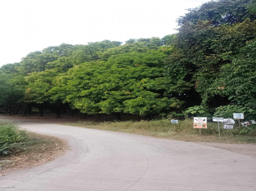 1.3 Hectares Land For Sale In Lian, Batangas