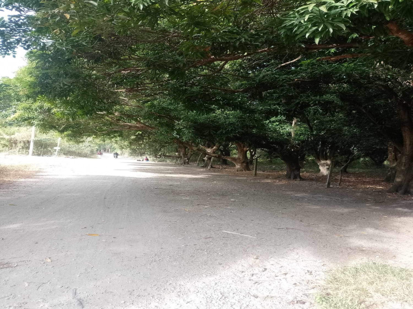 1.3 Hectares Land For Sale In Lian, Batangas